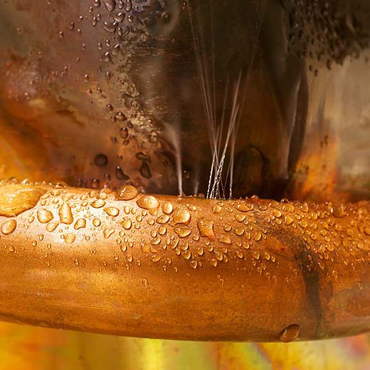 Same Day Parma Plumbing Service, drains, septic, trenchless.